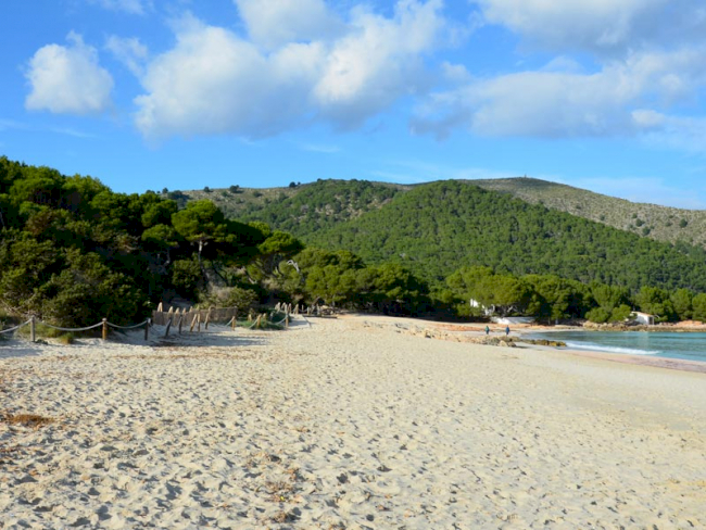Einsamer Strand von Cala Guya mit Pinien im Hintergrund